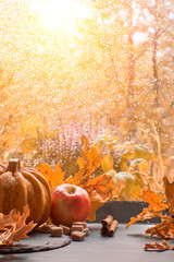 Autumn background with pumpkins and dry leaves on a window board on a rainy day