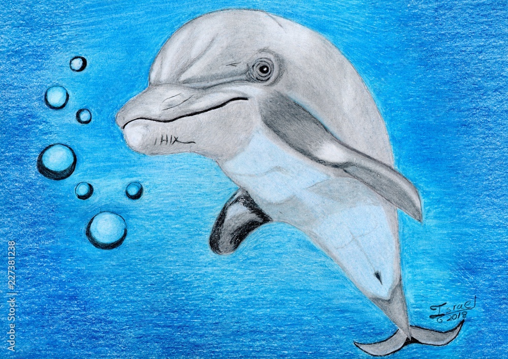 Fototapeta premium DELFÍN