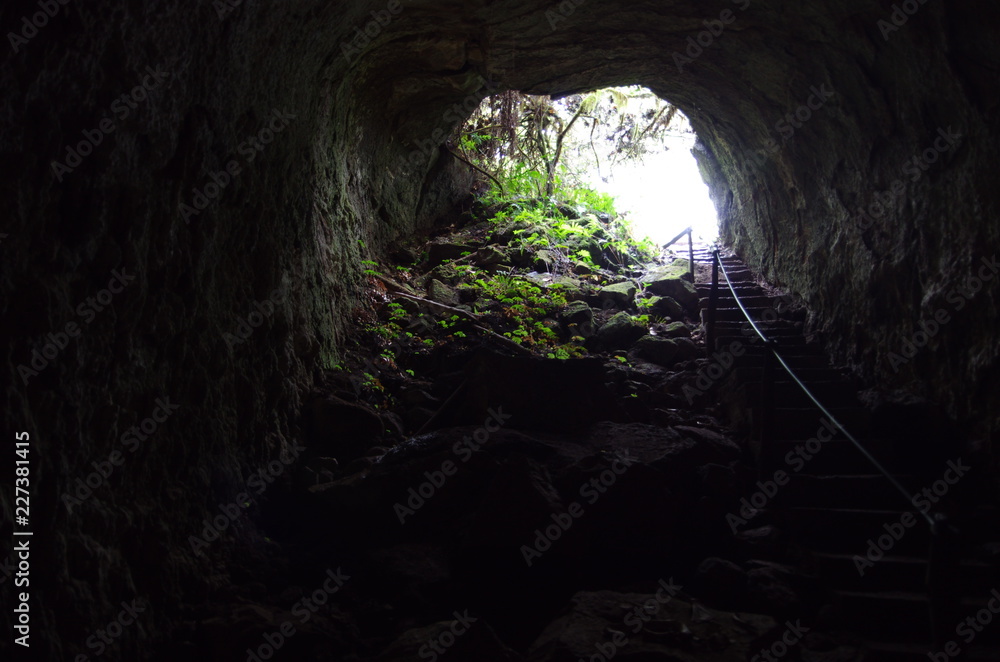 Obraz premium ひかり