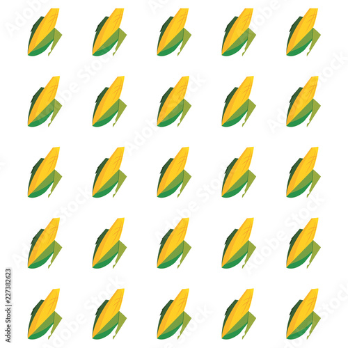 farm corn leaves food harvest background