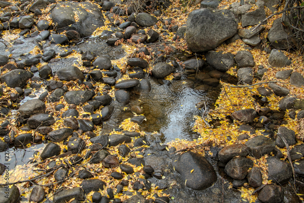 Obraz premium Autumn Color