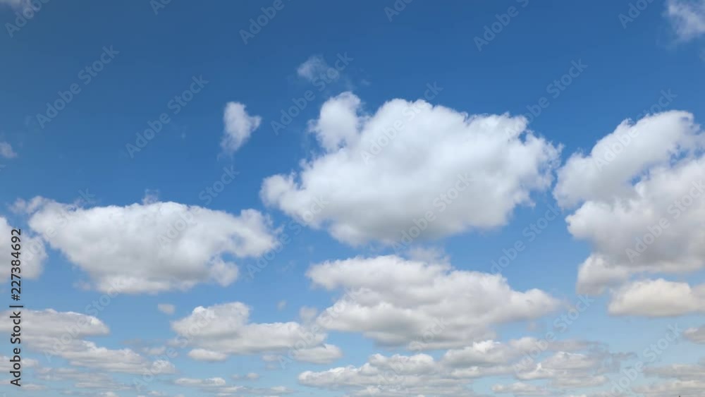 Beautiful white clouds approach the point of view backed by a vivid blue sky in this one minute loop (2 second fade at video's end).
