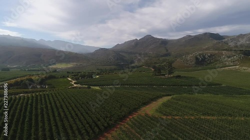 Aerial views over the orchards in the Elgin Valley near the town of Grabouw in the Western Cape of south africa