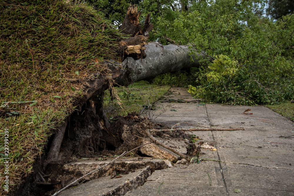 Destruction from Hurricane Michael Destruction from Hurricane Michael