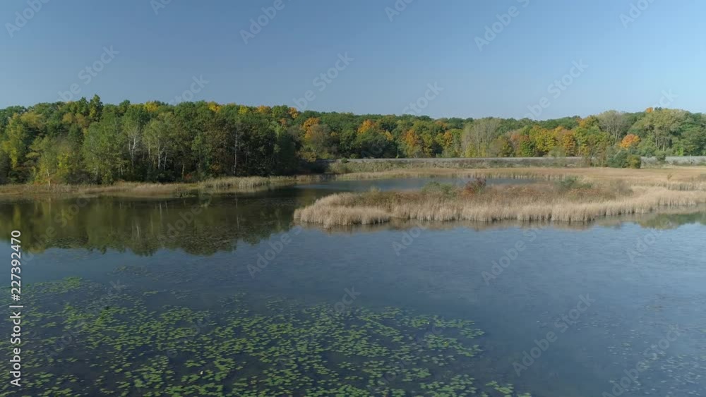 Moore Lake Weed Island