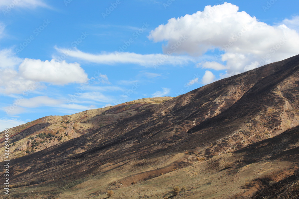 Charred landscape from a wildfire, Blue sky and a few white clouds. Charred landscape from a wildfire, Blue sky and a few white clouds.