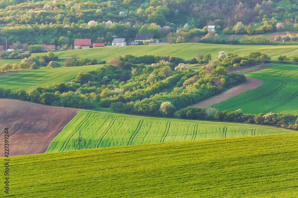 Rural landscape in Southern Moravia, Czech Republiс