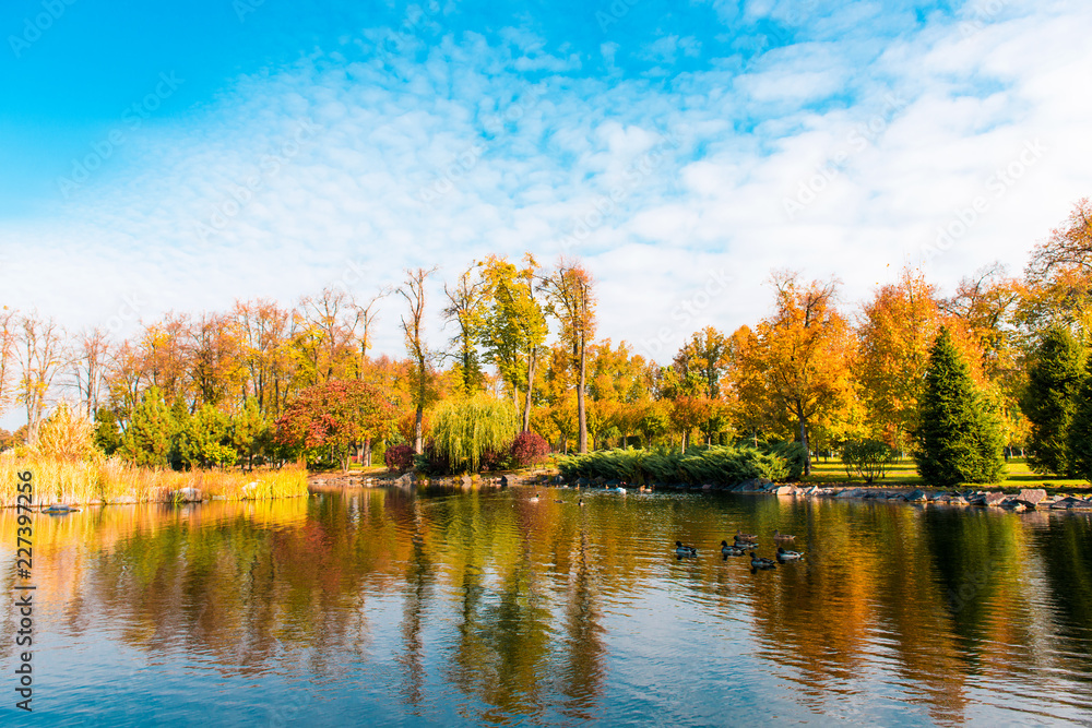autumn landscape in a beautiful park autumn landscape in a beautiful park
