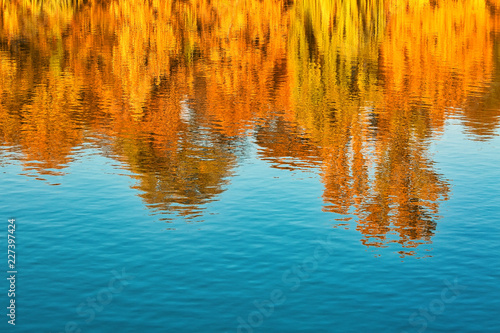 Fall season outdoor background, colorful trees reflect in the water