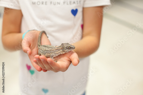 Child holding lizard