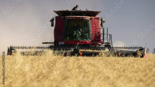Harvesting machine moving towards camera harvesting wheat HD 25P.