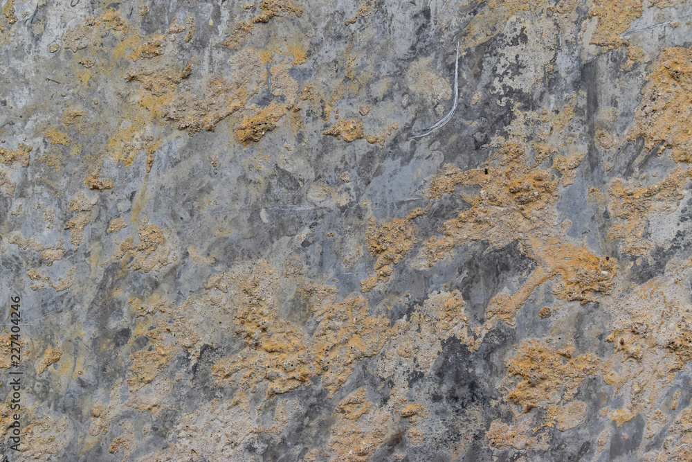 background of rough cement wall. concrete wall with white abrasion and small holes. background of rough cement wall. concrete wall with white abrasion and small holes.
