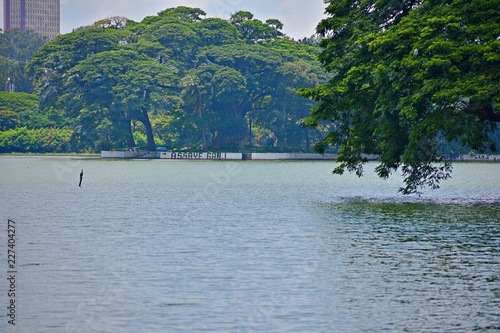 ULSOOR LAKE VIEW photo