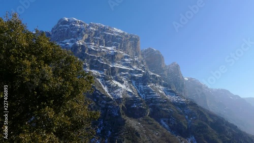 Rocky and snowy mountain tops appear behind tree in Zagori, Greece photo