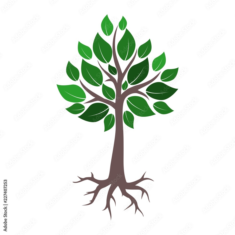 Tree and root logo, tree and root icon