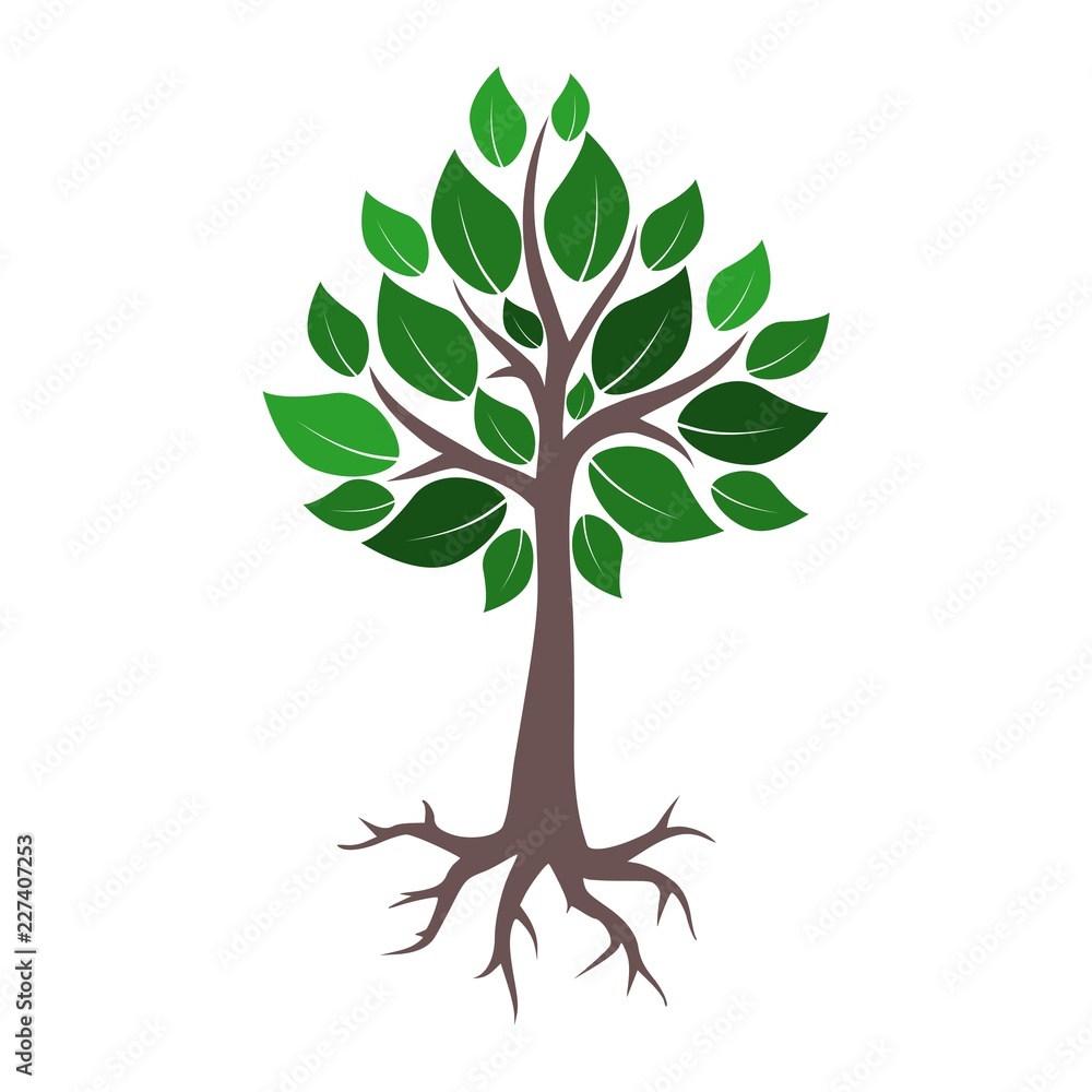 Fototapeta premium Tree and root logo, tree and root icon