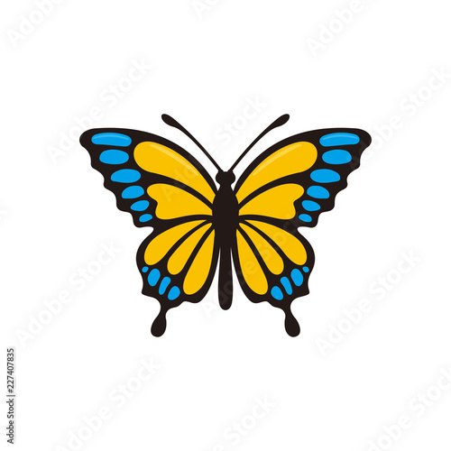 Butterfly vector logo