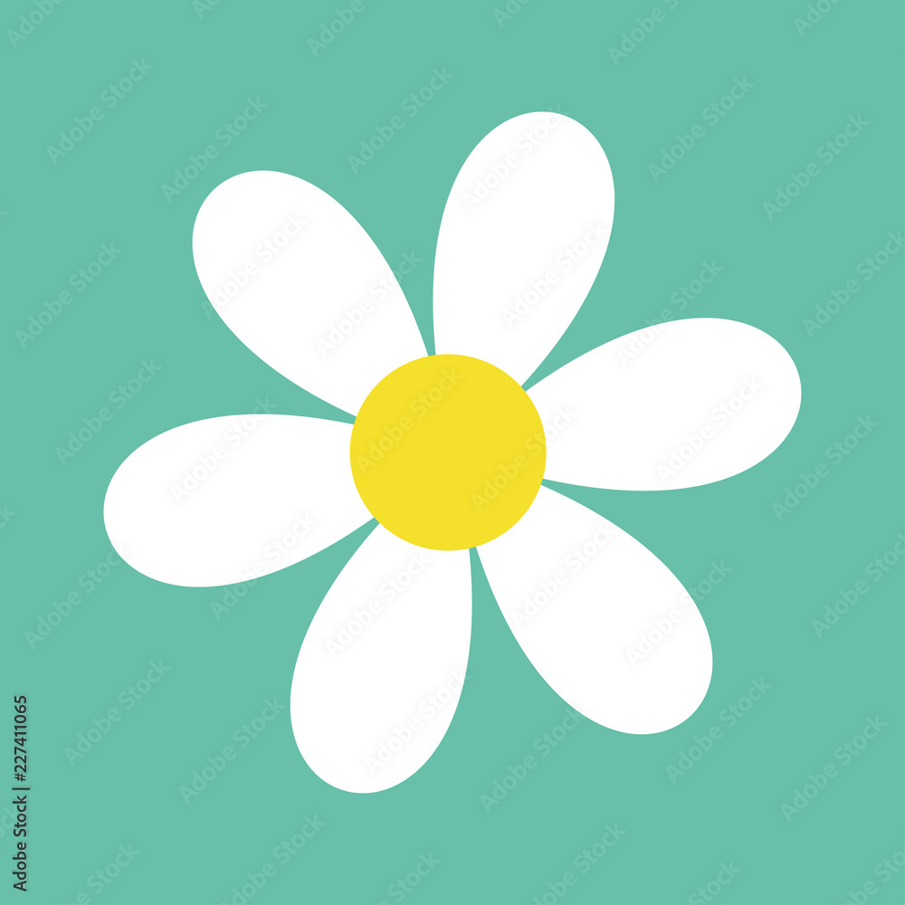 Daisy chamomile. Cute flower plant collection. White camomile icon. Love card. Growing concept. Flat design. Isolated. Green background.