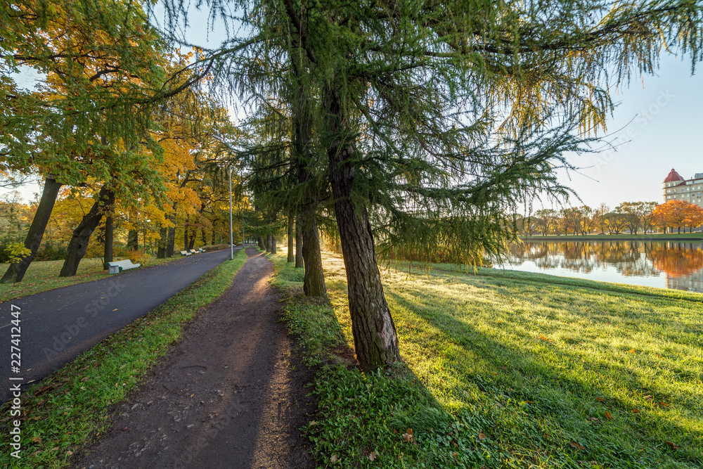 Naklejka premium path in autumn park