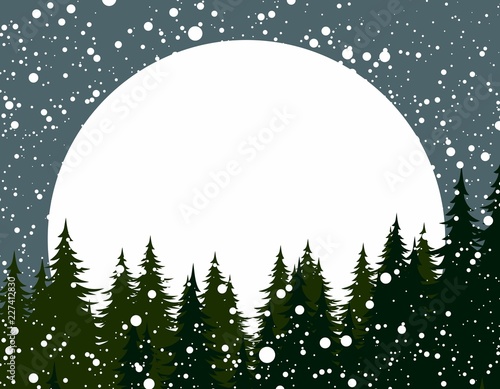 Winter forest with sun dawn.
