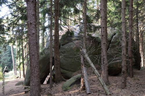 Froschfelsen im Harz, Sachsen - Anhalt photo