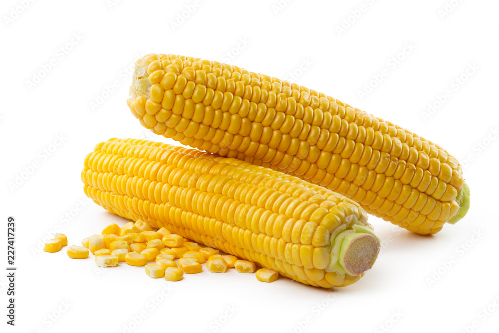 Corn on a white background Corn on a white background