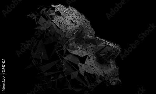 Fotografie Polygonal human face