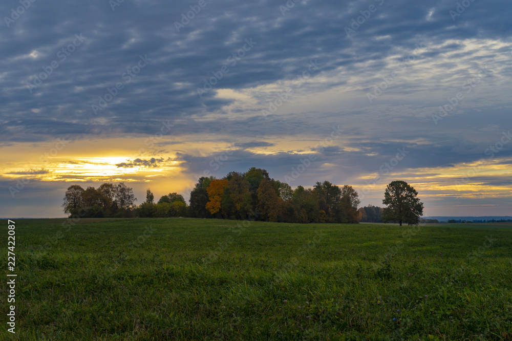 Autumn scenery with meadows, cows, fallen trees