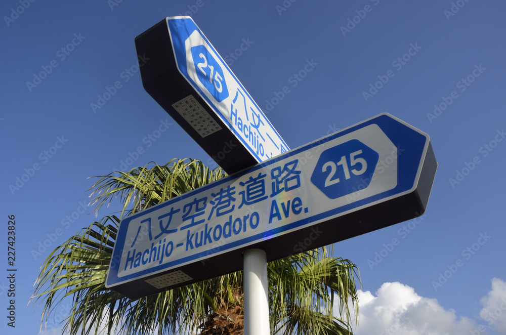 Fototapeta premium 道路標識と青空