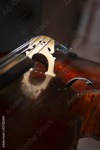 violin in vintage style on wood background close up
