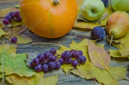 Autumn mood  pumpkins and maple leaves scattered blue grapes apples and pears on wooden background  selective focus