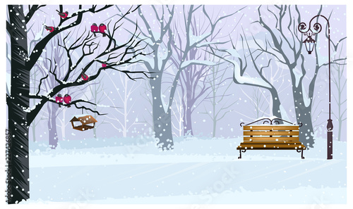 Winter landscape with snowy park vector illustration. Forest with bullfinches on tree, bench and streetlight. Town scene. Christmas or New Year concept. For websites, wallpapers, posters or banners