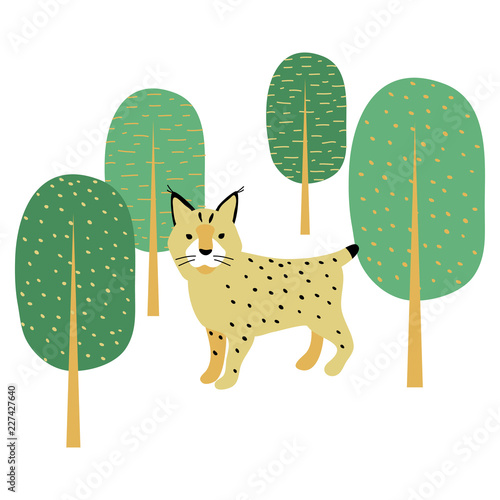 vector color lynx  big cat animal in tree forest simple doodle scandinavian style childish for your paper textile design