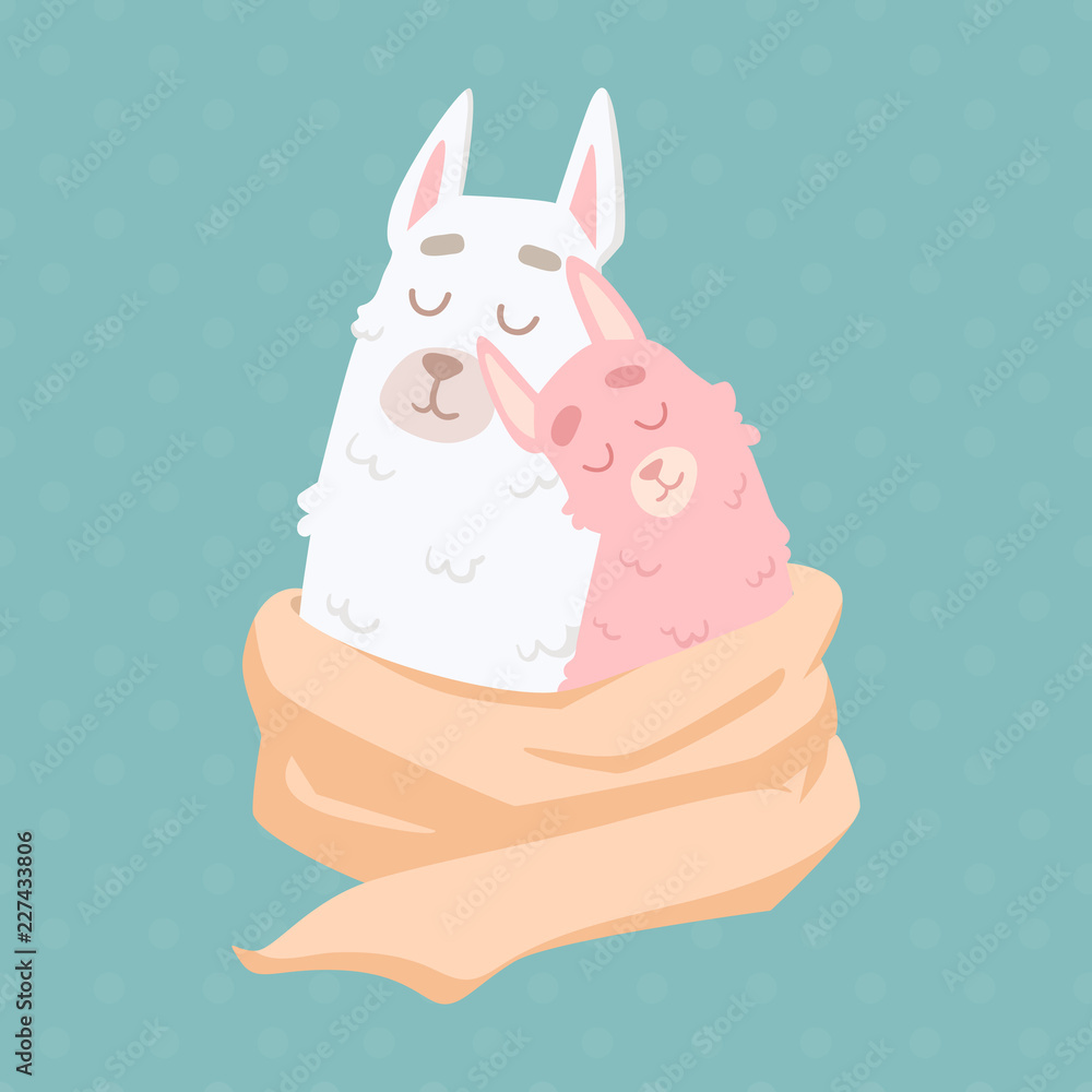 cute cartoon lamas alpacas in love sharing one scarf for two. hand drawn trendy vector illustration. t-shirt, card, sticker or bag design. cute cartoon lamas alpacas in love sharing one scarf for two. hand drawn trendy vector illustration. t-shirt, card, sticker or bag design.