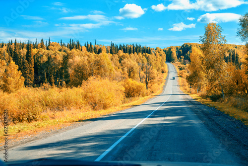 Autumn on the road. Altai. Kazakhstan.