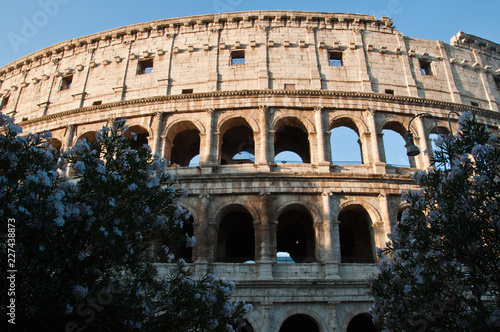 La facciata frontale del Colosseo in mezzo ai fiori all'alba photo