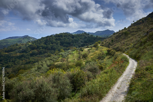 strada che percorre i Monti Peloritani in Sicilia © Z O N A B I A N C A
