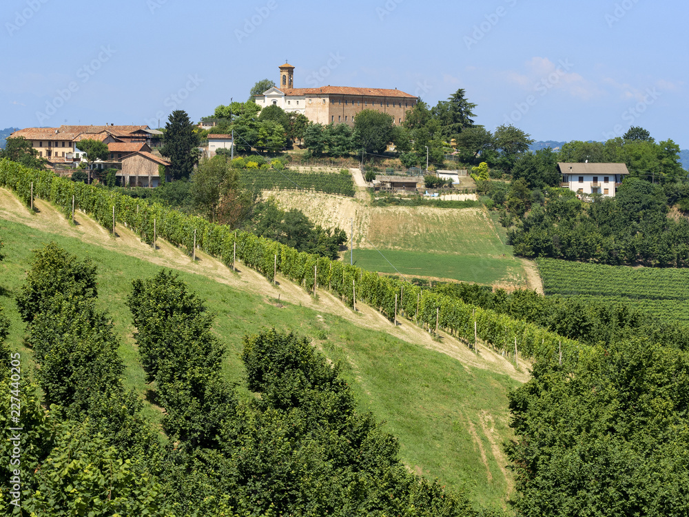 Road to Govone and San Martino Alfieri, Asti, in Monferrato