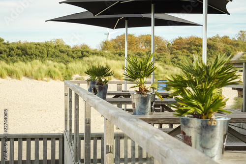 Strandbar Dünen Holland photo