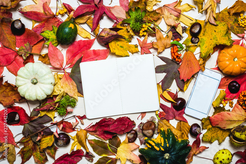 Stimmungsvoller, herbstlicher Hintergrund mit bunten Blättern, Kürbis und blanken Notizbuch und Handy
