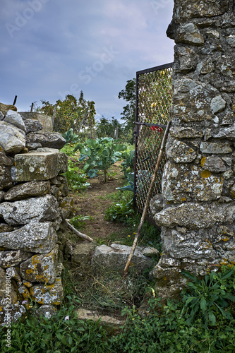 Orto di campagna con muretto e cancello photo