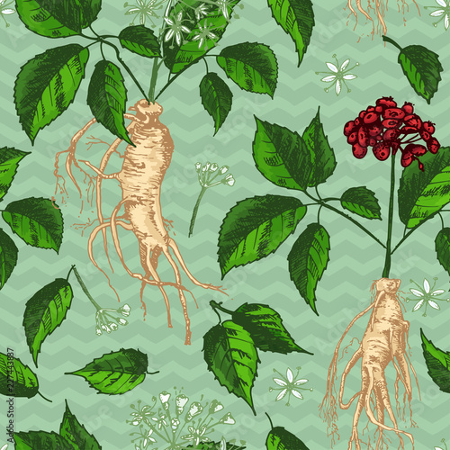 Realistic Botanical ink sketch seamless color pattern with ginseng root, flowers and berries Floral herbs collection. Traditional chinese medicine plant.