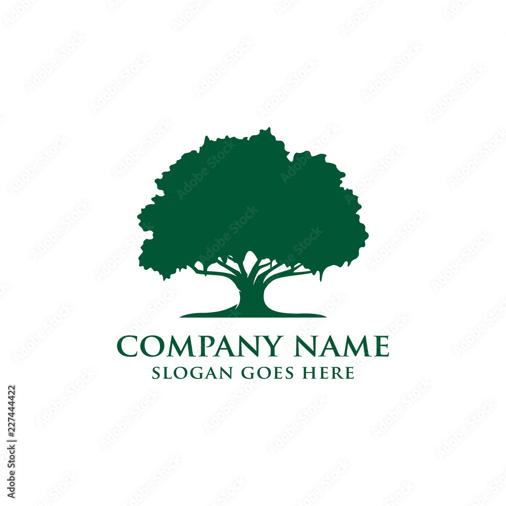Oak tree logo template