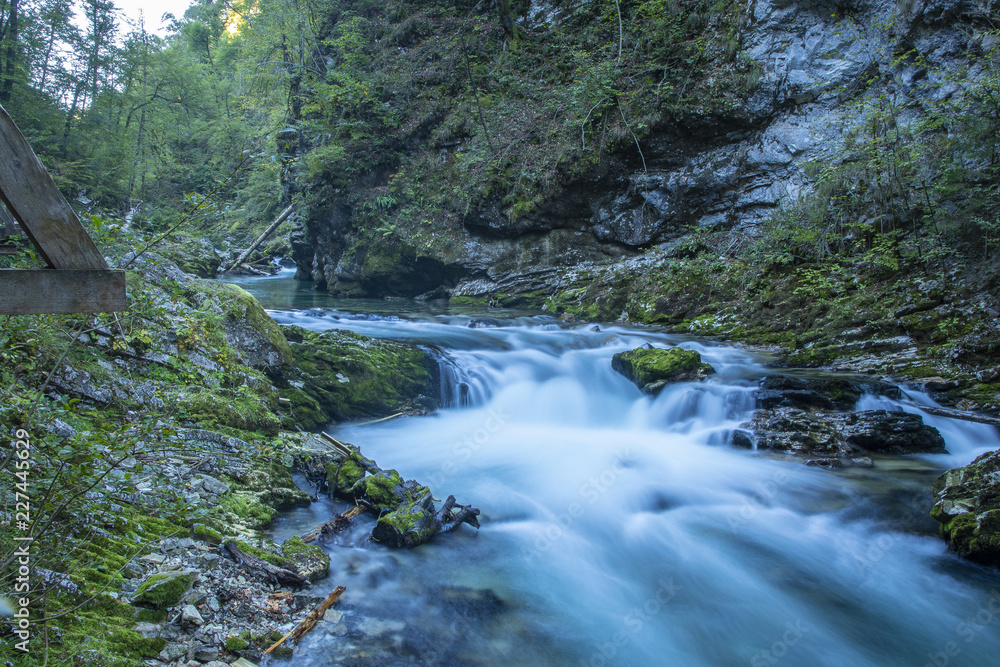 Vintgar Canyon, Slovenia Vintgar Canyon, Slovenia