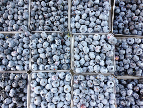 Blueberries in season at local farm stand
