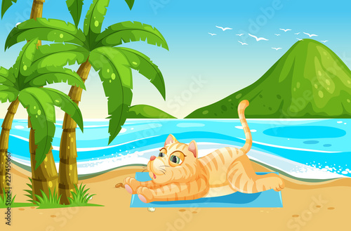 Yellow cat relax at the beach