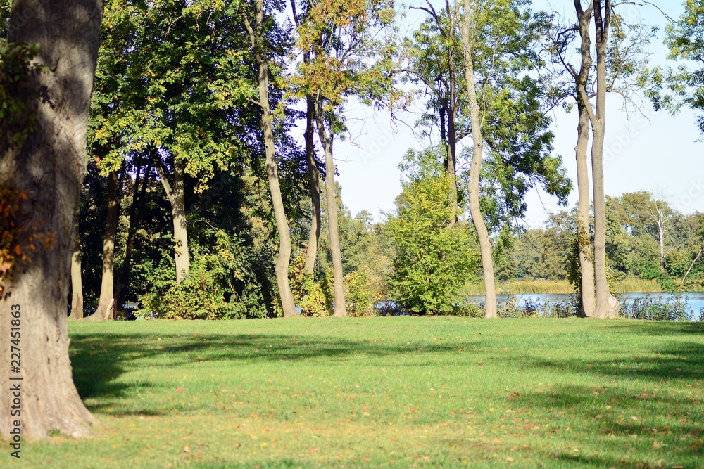 Beautiful park in the medieval city Beautiful park in the medieval city