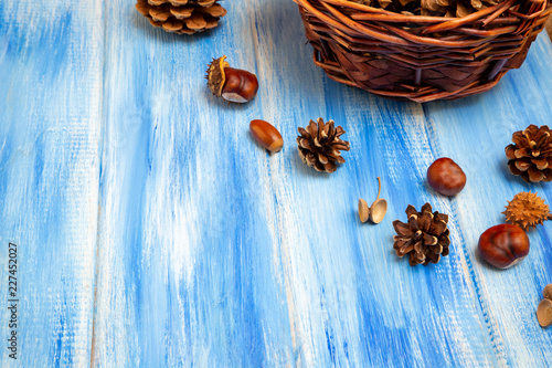 Brown cones on a blue background. New Year, Christmas and autumn background. Natural country style. Minimalism