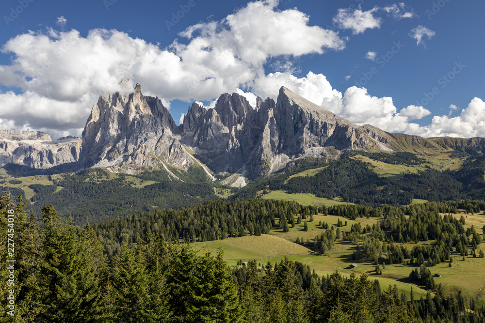 Auf der Seiser Alm in Südtirol, Italien