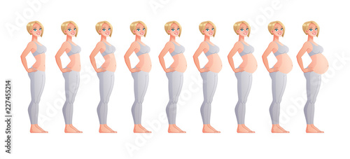 Stages of pregnancy month by month. Isolated vector illustration.